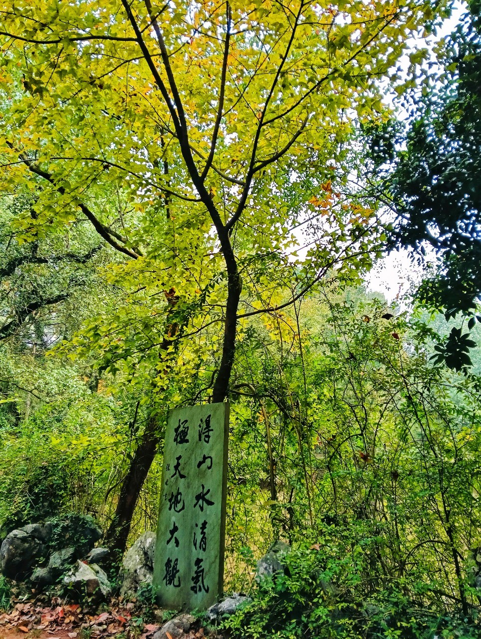  @民宿女王芽月-美食.旅遊.全台趴趴走