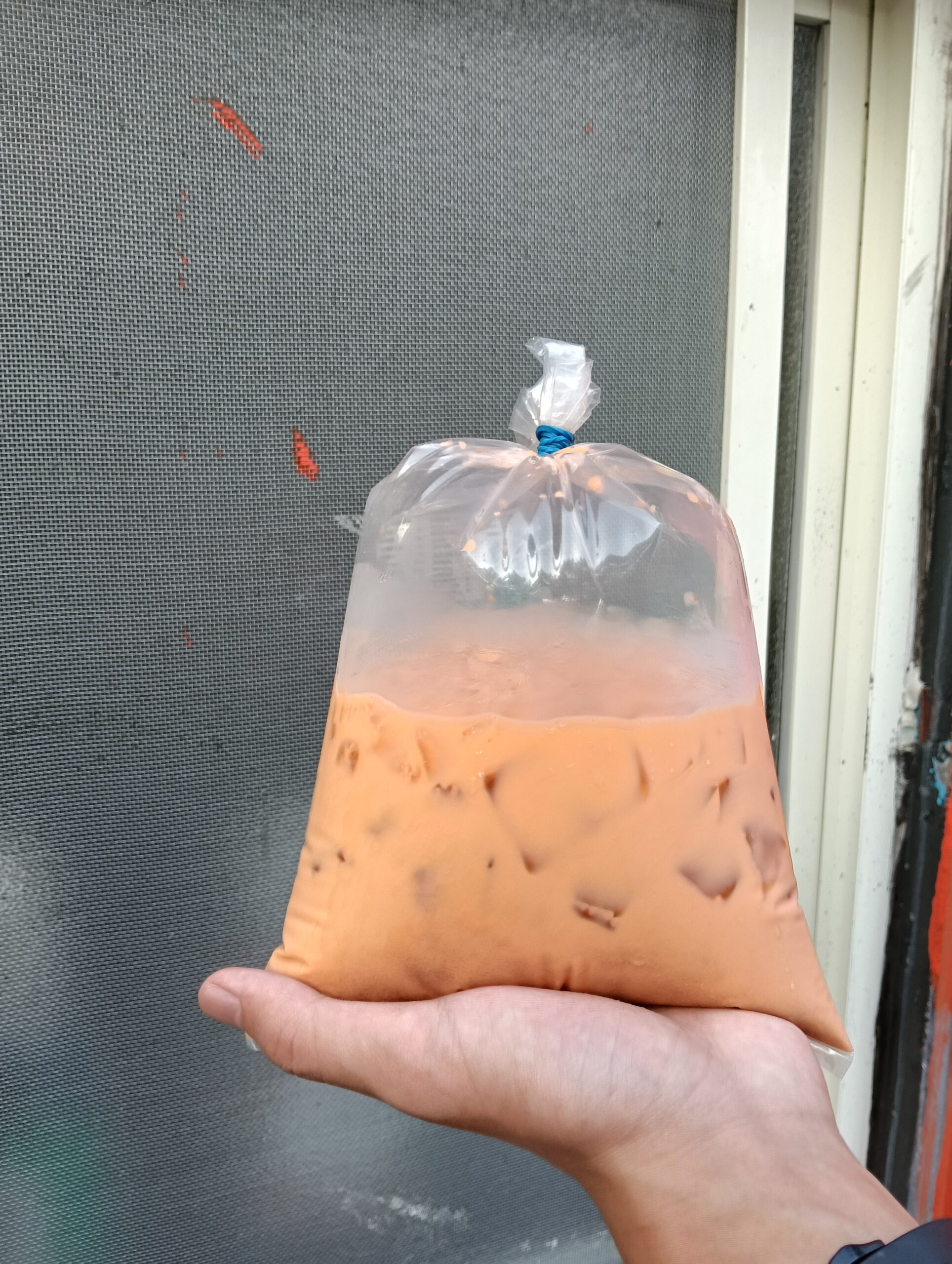 中壢美食,中壢飲料,士校,暴打前女友,暴打前男友,泰式奶茶老撾咖啡,袋裝,龍岡圖書館,龍岡美食,龍東路