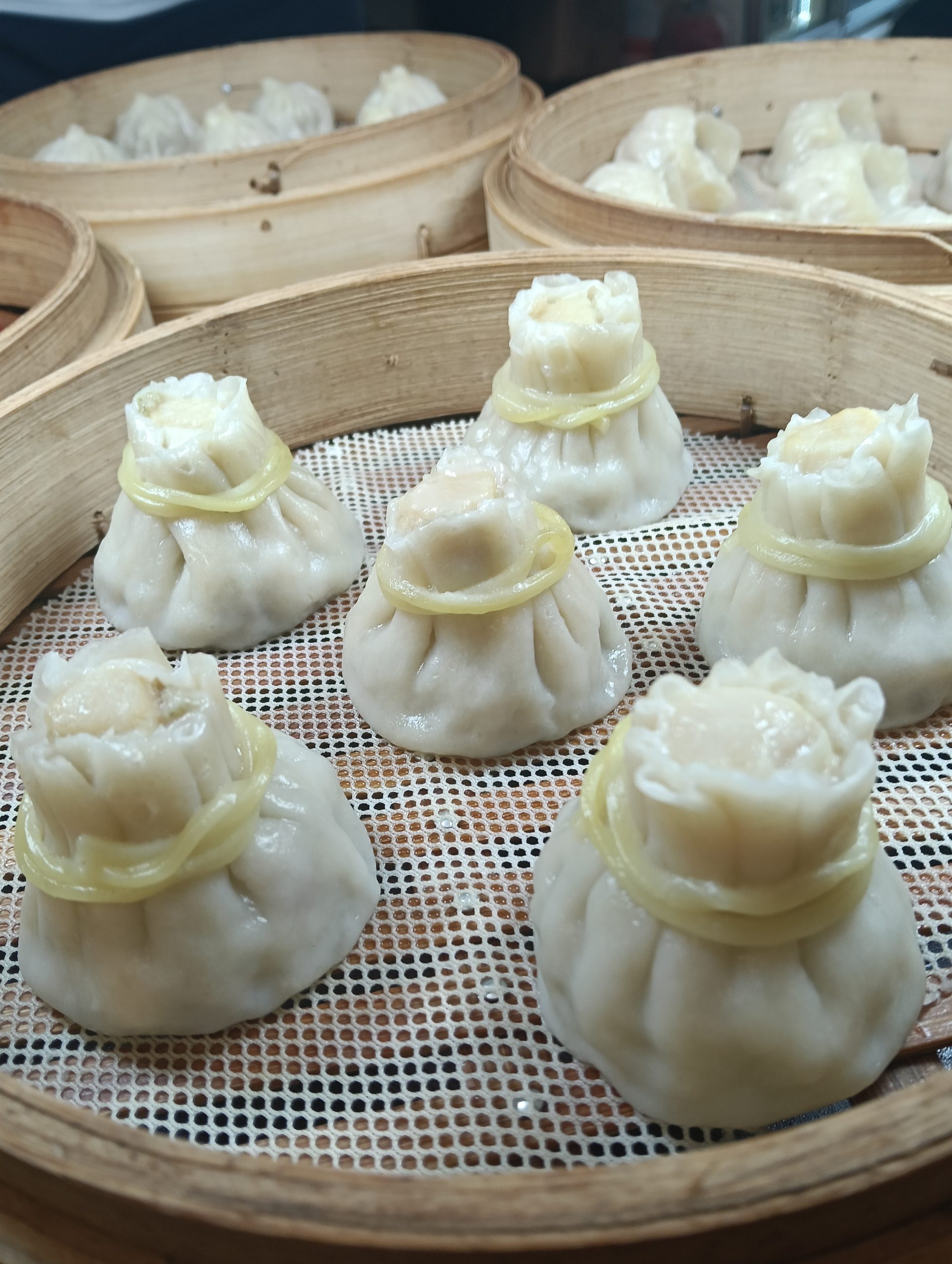 桃園美食,桃園湯包,桃園我家牛排,春日路我家牛排,上海,醃篤鮮小籠包,椒麻蒸餃,火龍果蒸餃,江蘇,油豆腐細粉