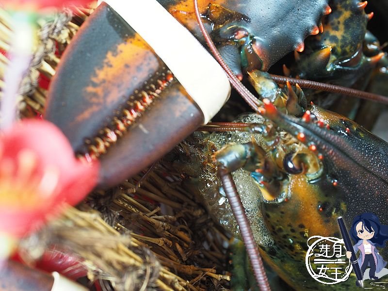  @民宿女王芽月-美食.旅遊.全台趴趴走