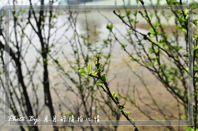  @民宿女王芽月-美食.旅遊.全台趴趴走