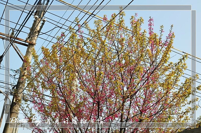  @民宿女王芽月-美食.旅遊.全台趴趴走