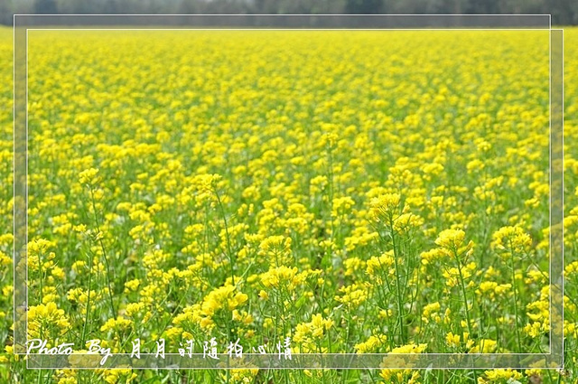  @民宿女王芽月-美食.旅遊.全台趴趴走