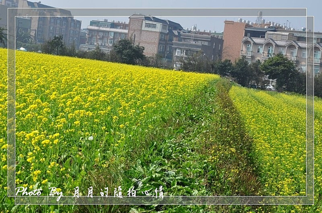  @民宿女王芽月-美食.旅遊.全台趴趴走