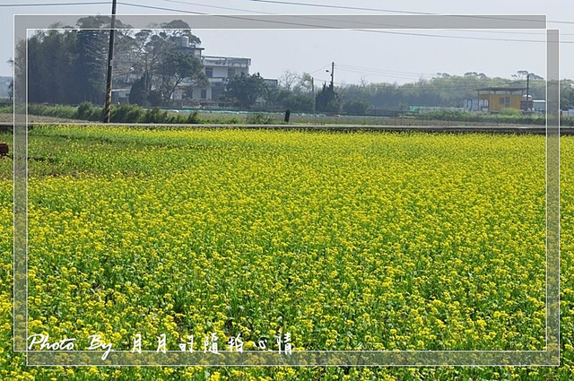  @民宿女王芽月-美食.旅遊.全台趴趴走