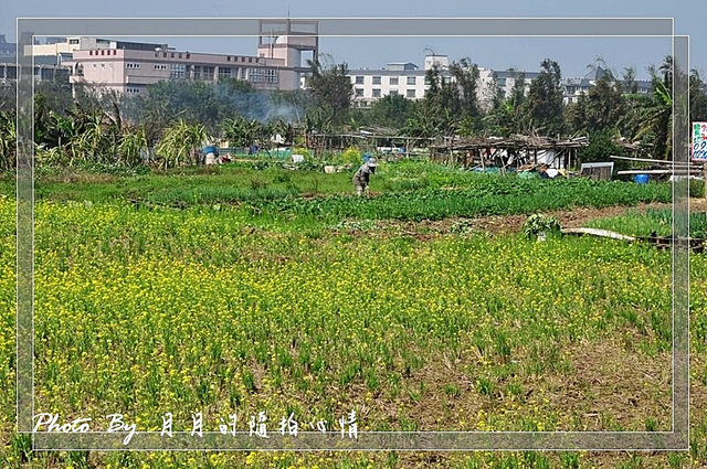  @民宿女王芽月-美食.旅遊.全台趴趴走