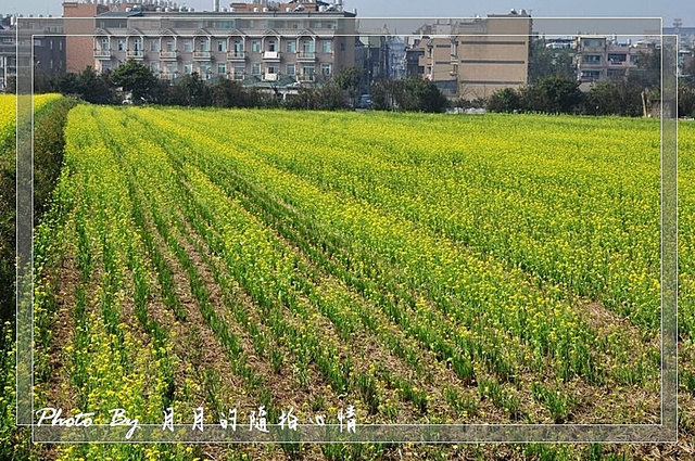  @民宿女王芽月-美食.旅遊.全台趴趴走