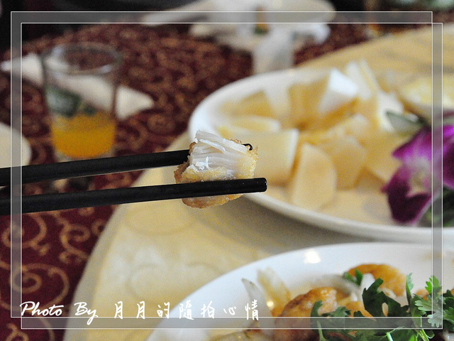 台南將軍,味噌魚湯,將軍漁港,櫻花蝦炒飯,涼拌冷筍,炸干貝,私房景點,蒜蓉小龍蝦,螃蟹粥,豐的海鮮漁府,金沙花枝,長沙村,馬沙溝,龍蝦粥