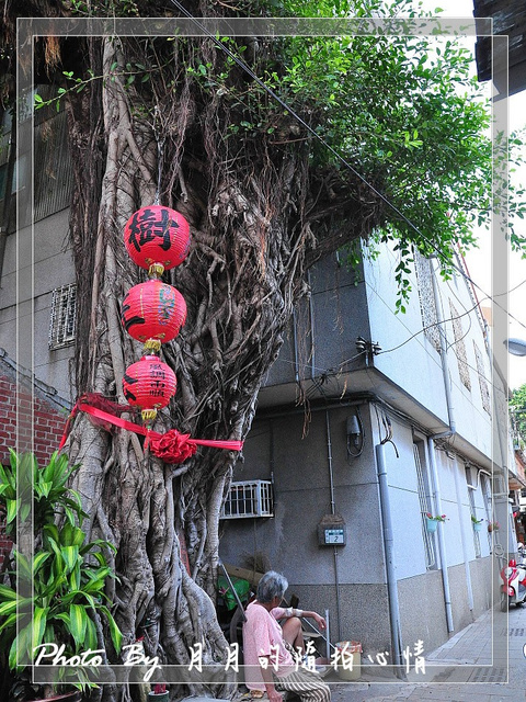 台南民宿,套房,安平老街,樹王公,海山館,百年,跳房子