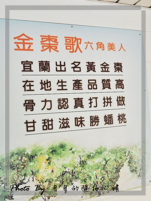 AGRIOZ,CAS認証,偶像劇,員山,宜蘭,橘之鄉蜜餞形象館,玻璃屋,蜜餞DIY,觀光工廠,賭神,金棗,金棗霜淇淋