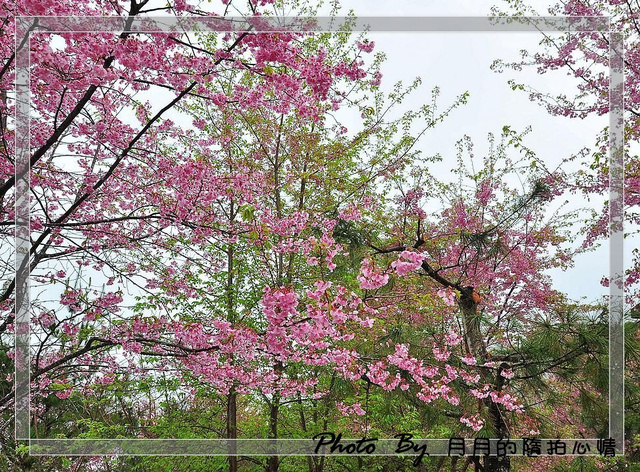  @民宿女王芽月-美食.旅遊.全台趴趴走