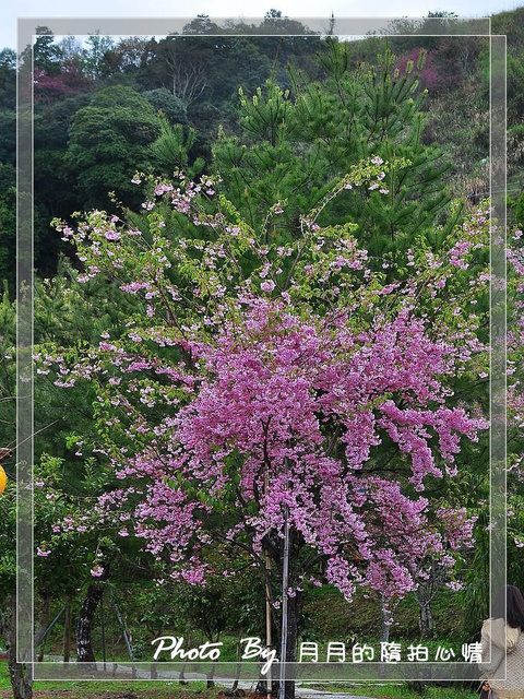  @民宿女王芽月-美食.旅遊.全台趴趴走