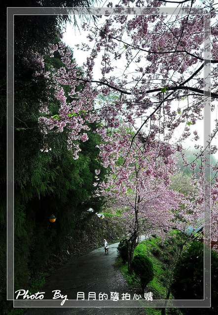  @民宿女王芽月-美食.旅遊.全台趴趴走