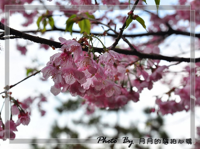  @民宿女王芽月-美食.旅遊.全台趴趴走