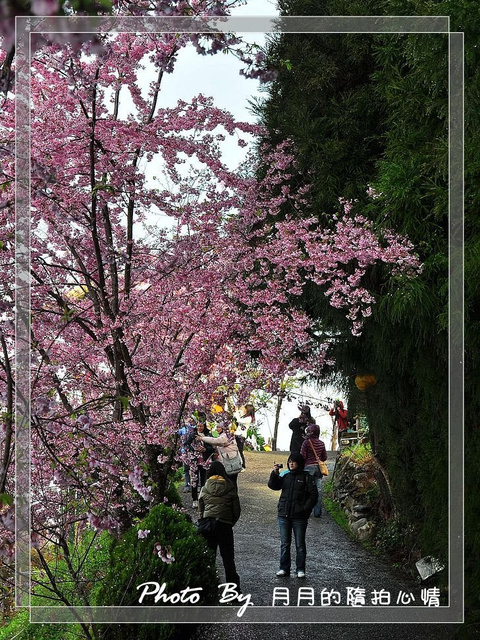  @民宿女王芽月-美食.旅遊.全台趴趴走