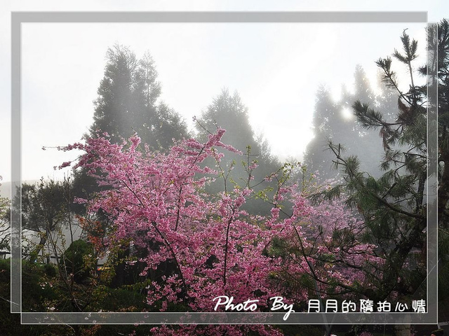  @民宿女王芽月-美食.旅遊.全台趴趴走