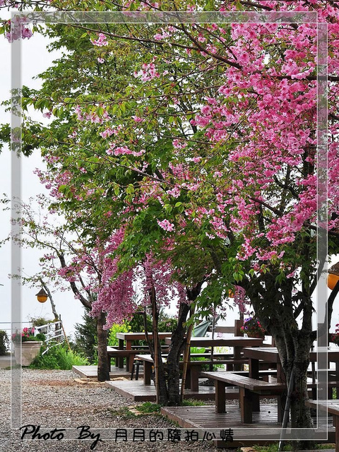  @民宿女王芽月-美食.旅遊.全台趴趴走