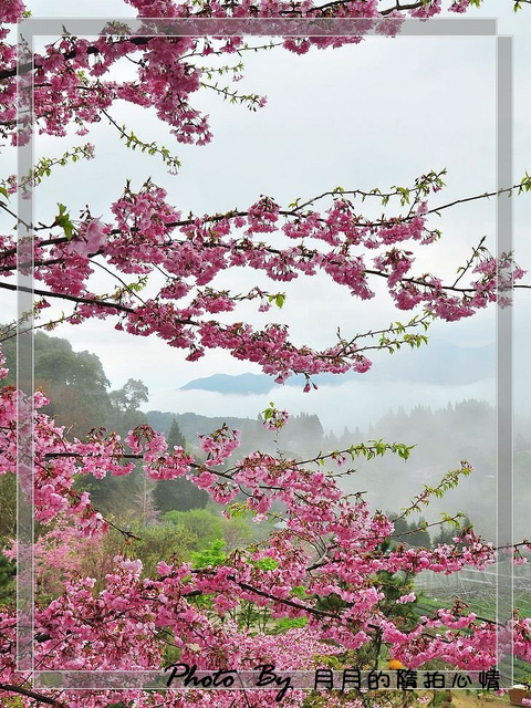  @民宿女王芽月-美食.旅遊.全台趴趴走